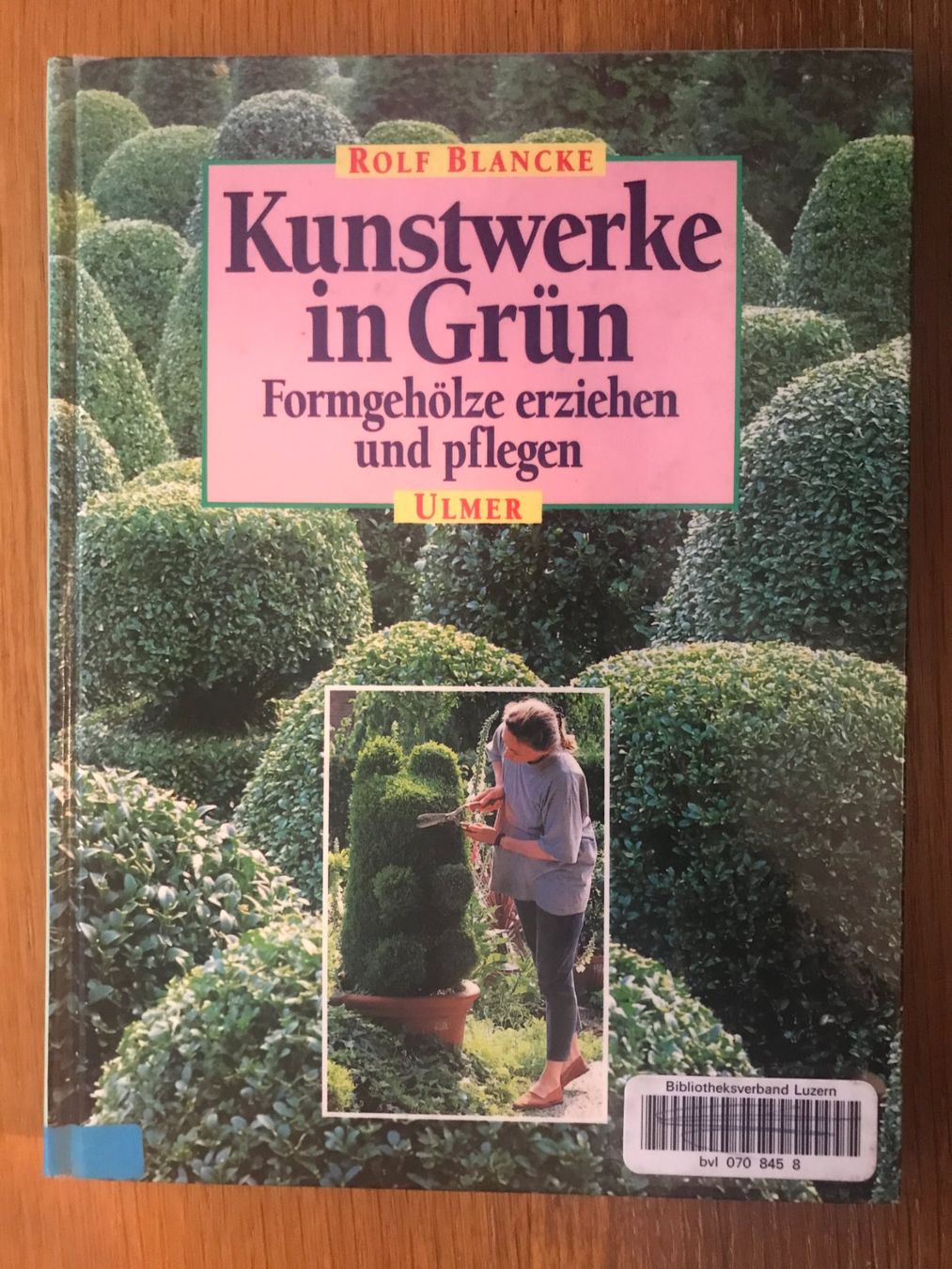 Libri: Buch Kunstwerke in Grün – Usato da Luzern venduto da mey_s13