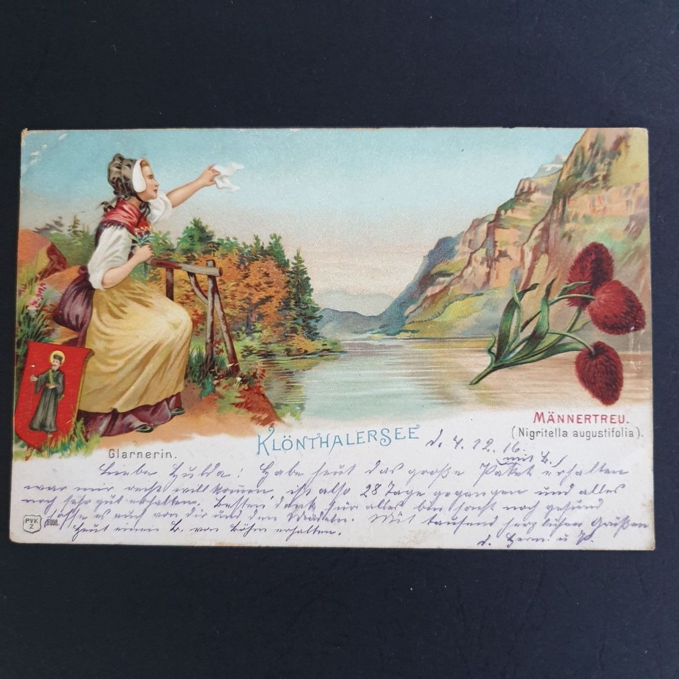 Cartoline postali: Litho Klöntalersee 1916 – Usato da Reichenburg venduto da Pipo-67