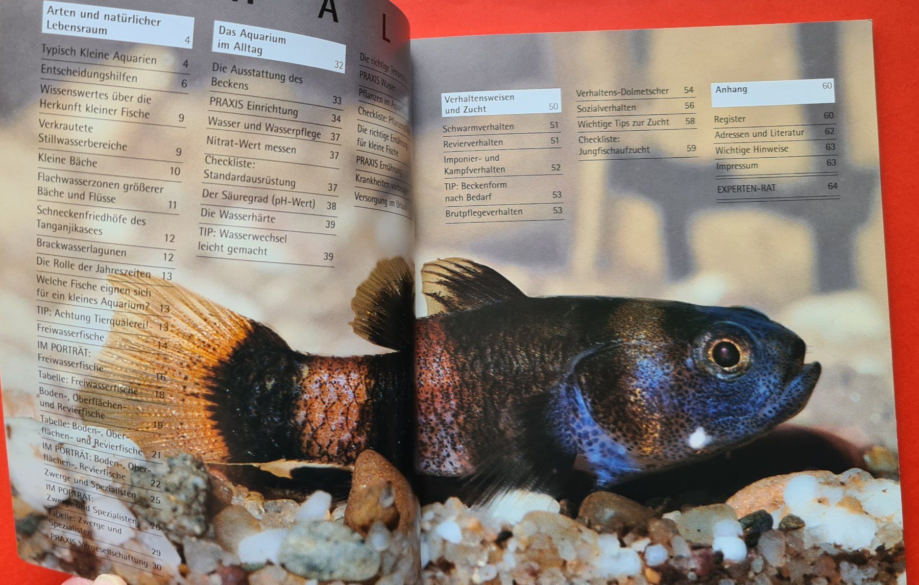 Libri: Kleine Aquarien, Ratgeber – Nuovo (secondo la descrizione) da Winkel venduto da Tongabonga 2