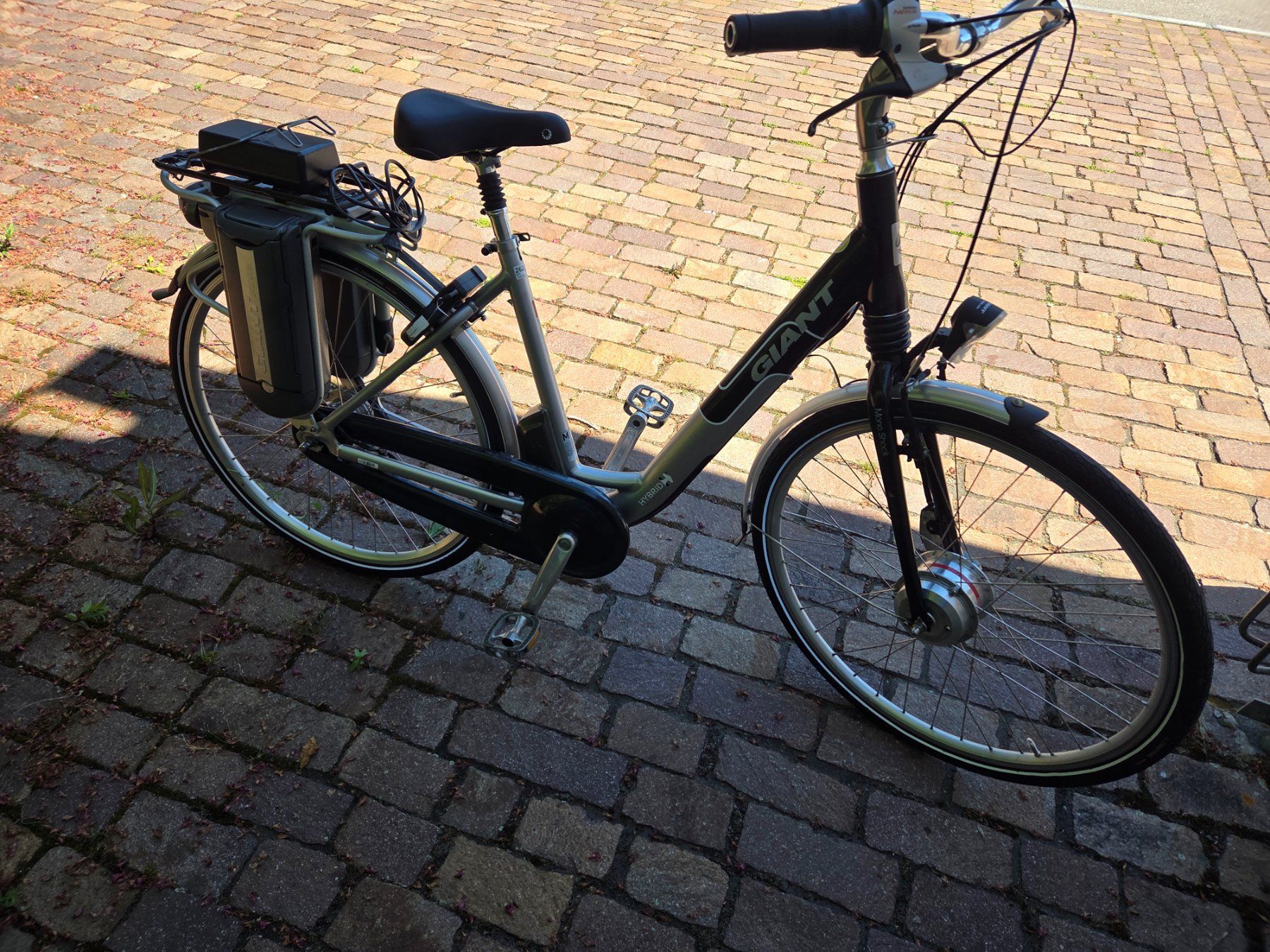 Biciclette: E Velos Giant 2 Stück – Usato da Steckborn venduto da Dieter_Scherrer 3