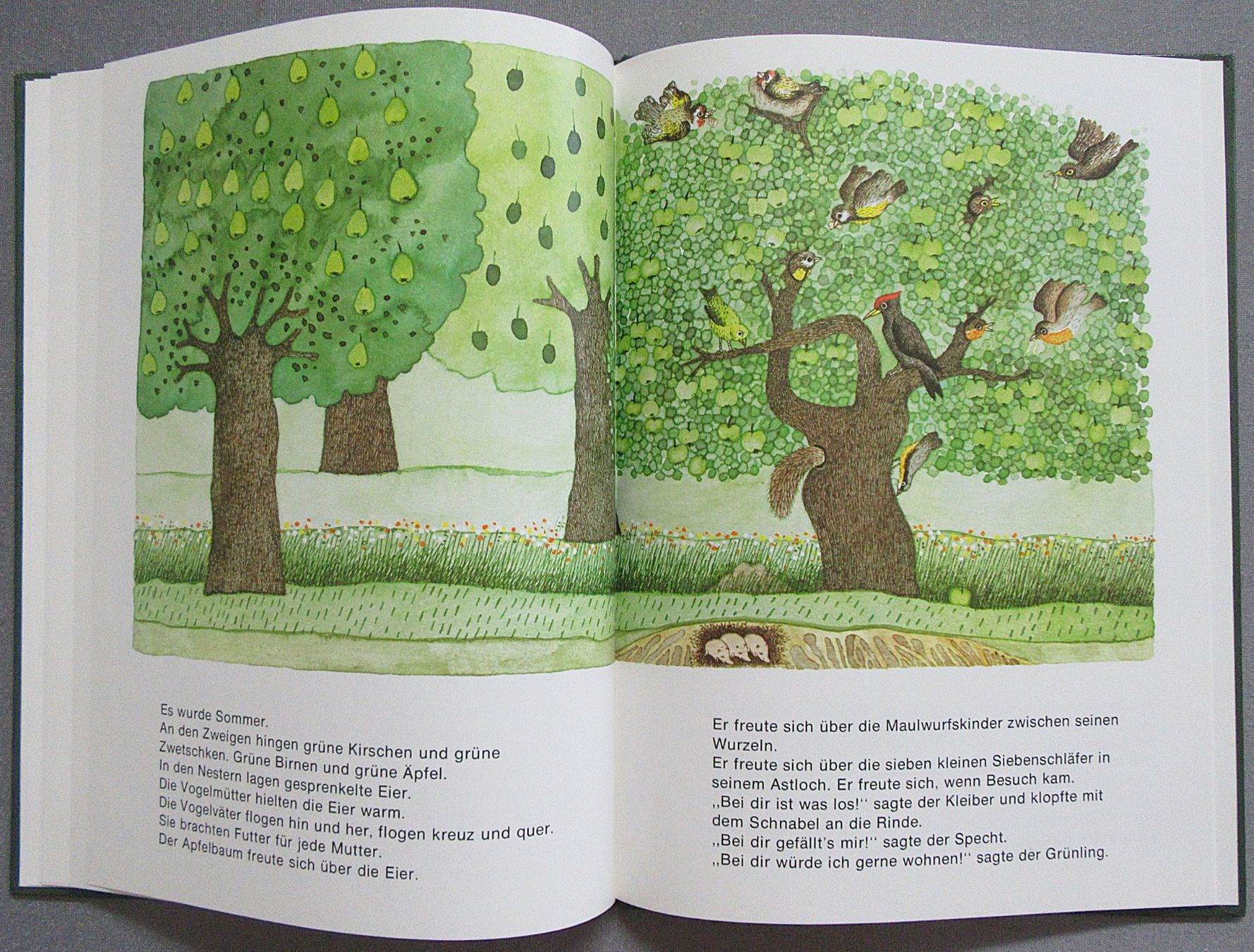Livres: Der Apfelbaum - Bilderbuch ab CHF 1.00 – D'occasion à Auenstein par Padabimbim 5