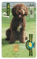 Privat-Telefonkarte Spanien Pero de agua Pudel Hund