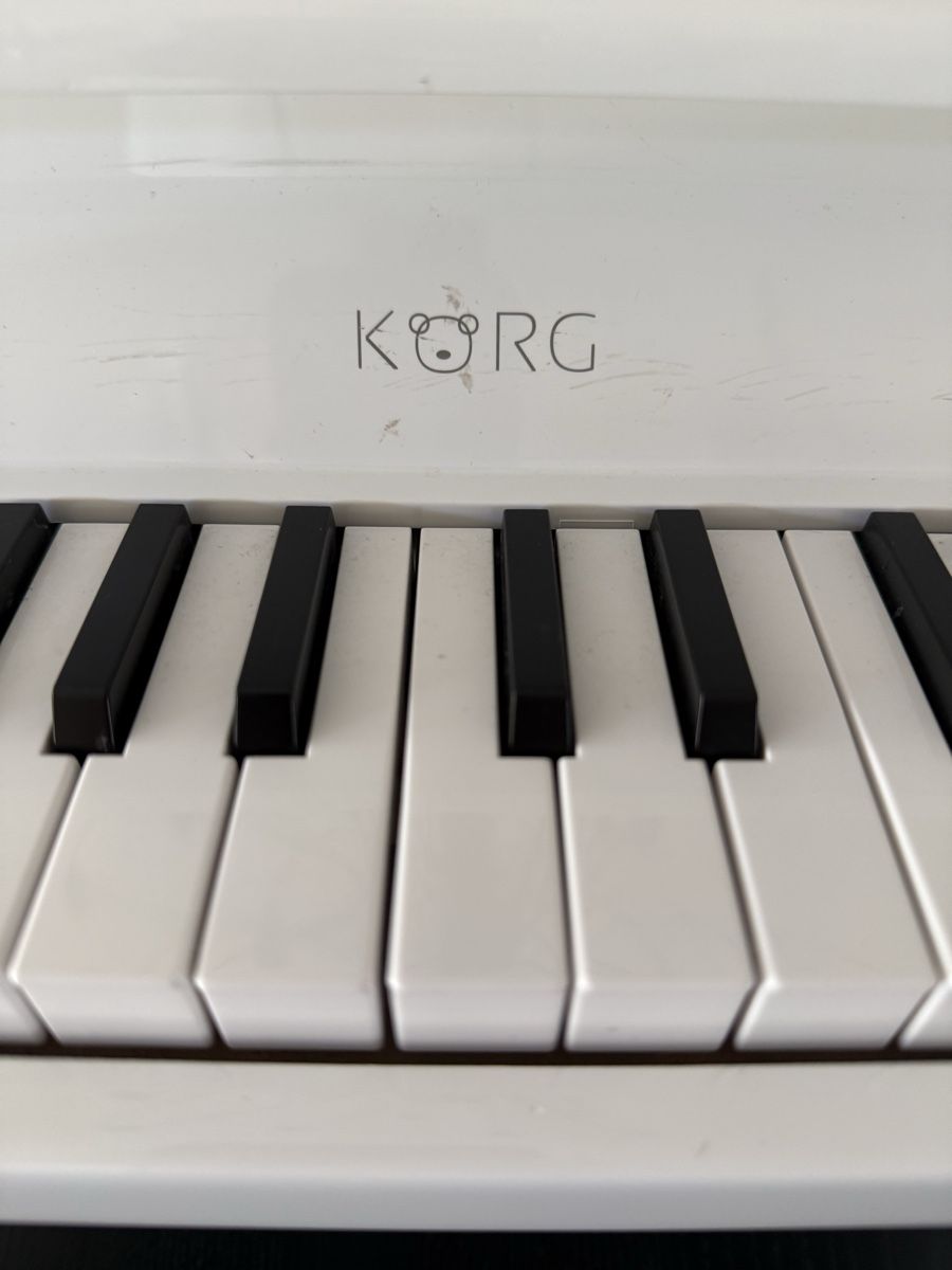 Korg Strumenti musicali: KORG tinyPiano Mini Klavier, weiss! – Usato da Arlesheim venduto da COMA14 1