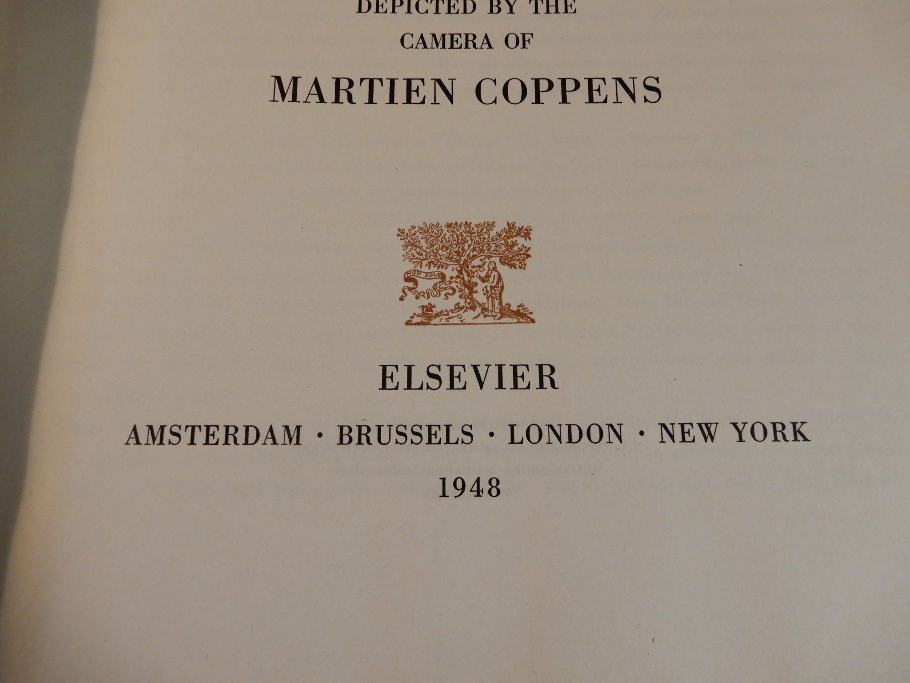 Libri: Antikes Buch: Thoughts in Stone, 1948, Elsevier – Usato da Erstfeld venduto da Mario_boe0 2