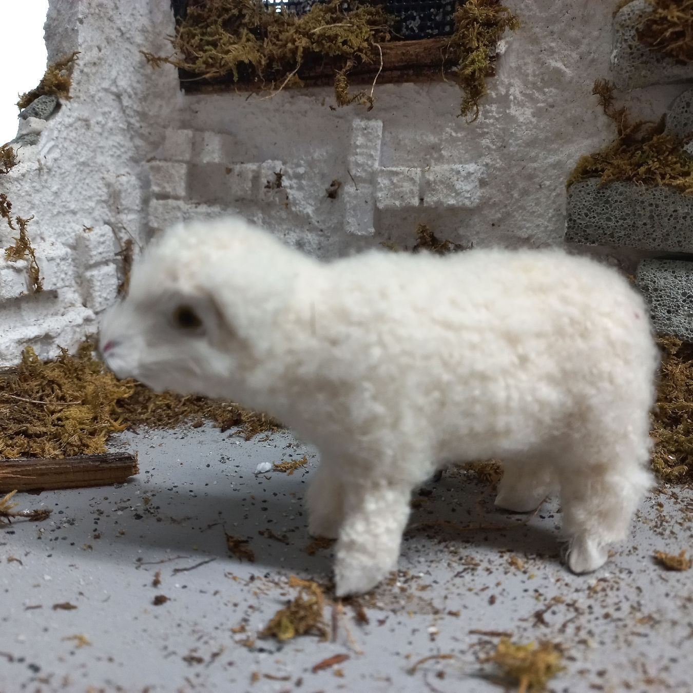 Statuette: Hund mit Schafen, Schwarzenberger Krippenfiguren – Usato da Lachen SZ venduto da jimmygoal13 4