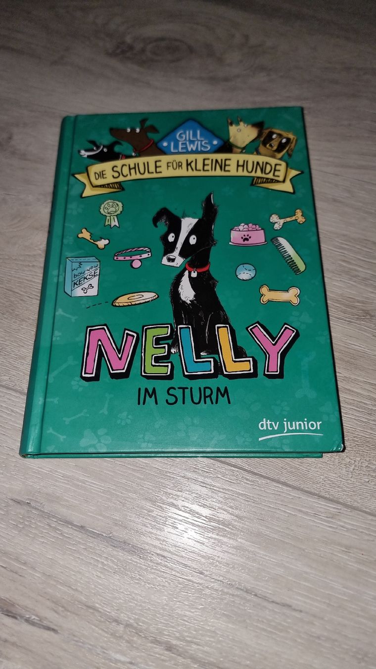 Bücher: Kinderbuch "Nelly im Sturm"  – Gebraucht aus Wigoltingen von Zuckerfee84
