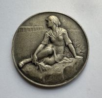 1929 Schützenmedaille Bellinzona Silber 50 mm unz