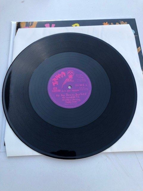 Dischi in vinile: Die Toten Hosen – Usato da Aarwangen venduto da Jukebox3 7
