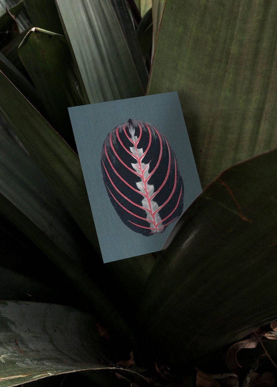 Cartoline: N° 17 Praying Hands – Nuovo e nell'imballaggio originale da Zürich venduto da BienvenueStudios 1