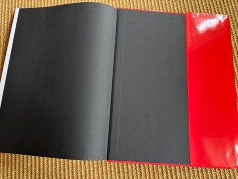 Bücher: Das Plakat in der Schweiz – Gebraucht aus Langenthal von Riccardamax 8