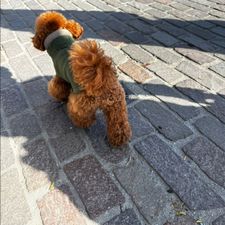 Profile image of bba_86dt