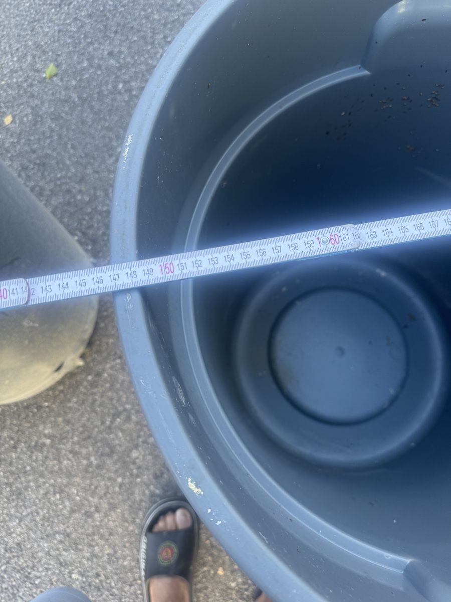 Cestini per rifiuti: 2 Kehrichteimer mit Deckel und Rollen akzeptabel – Usato da winterthur venduto da Magnum03 2