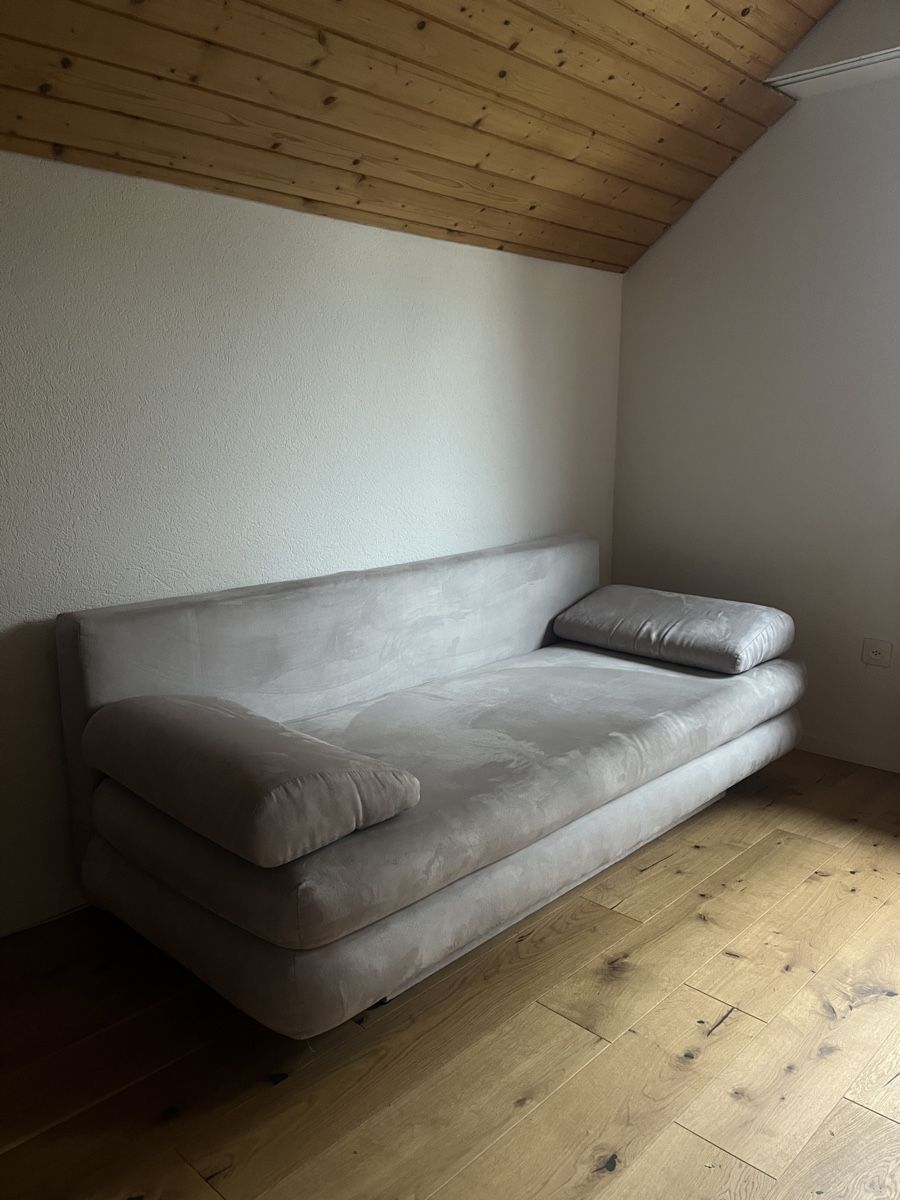 Divani: Hellgraues Bettsofa sucht neues Zuhause :-) – Usato da Seuzach venduto da sweetchameleon 1