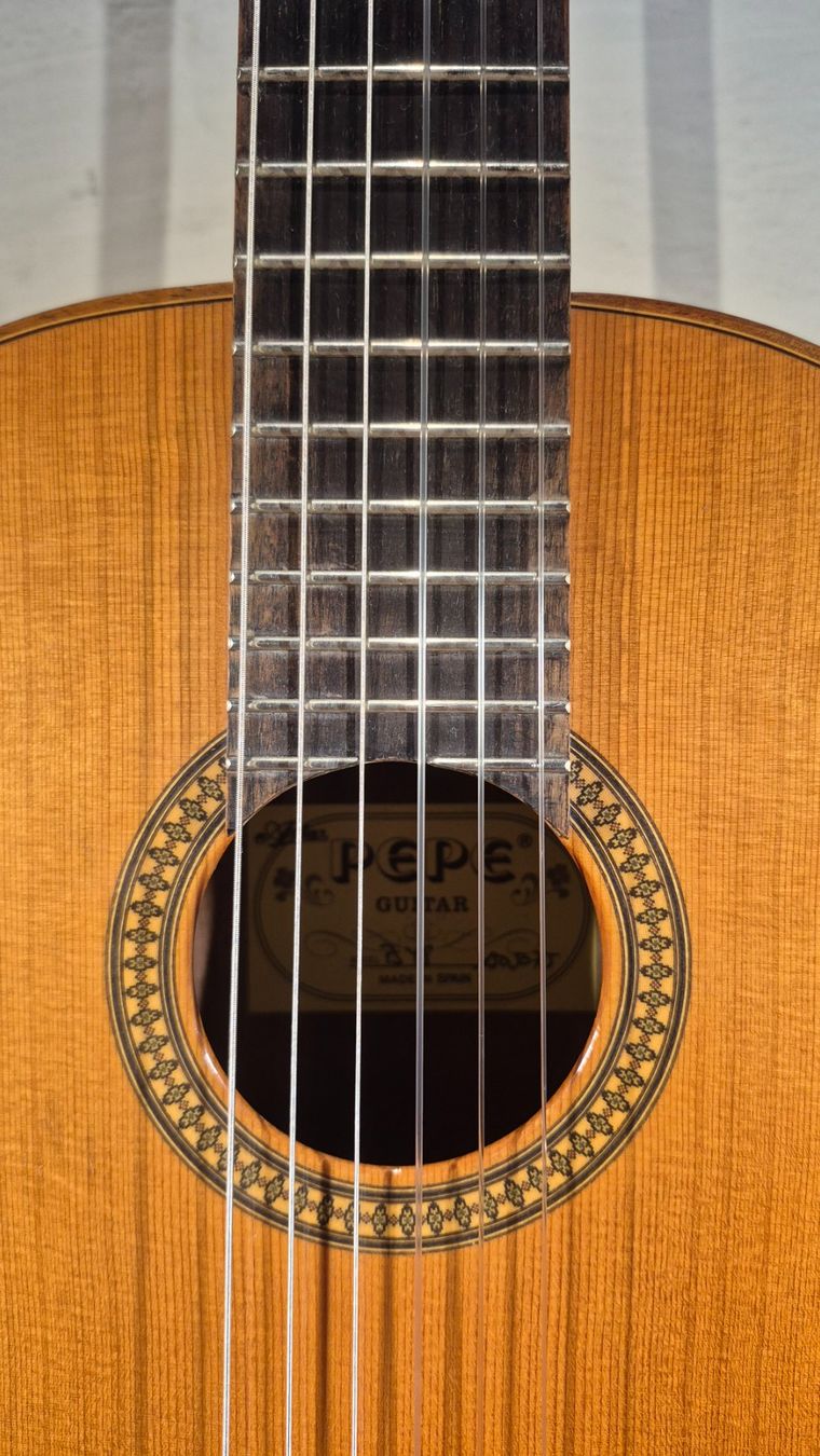 Aria Strumenti musicali: Kinder Gitarre Pepe PS-48 – Usato da Winterthur venduto da NorrSydGuitars 4
