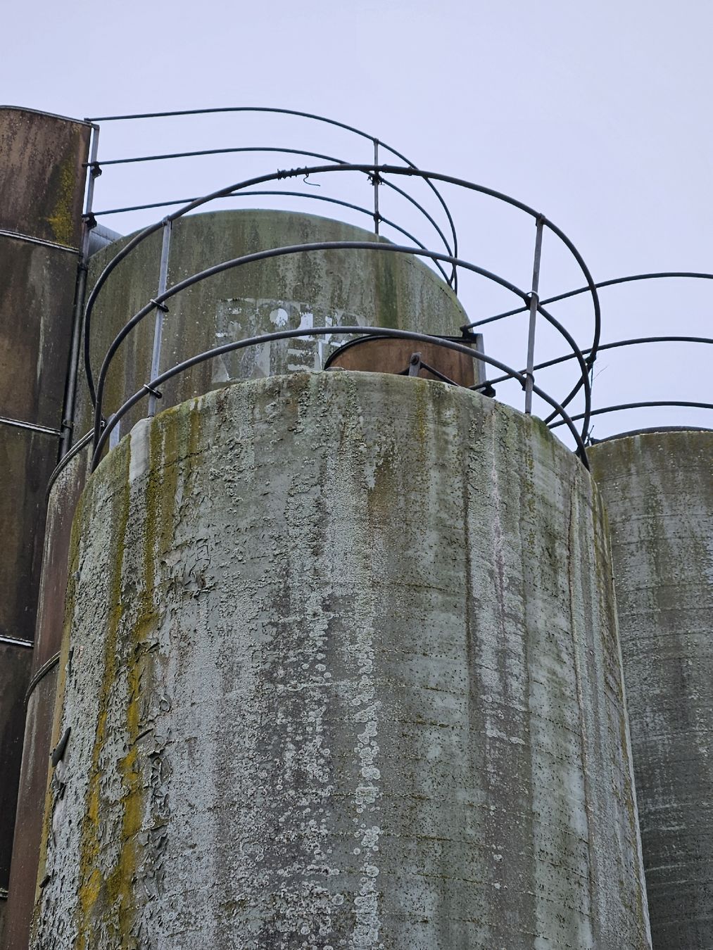 Tutte le macchine: Occasion Silo – Usato da Subingen venduto da honigbuur 3