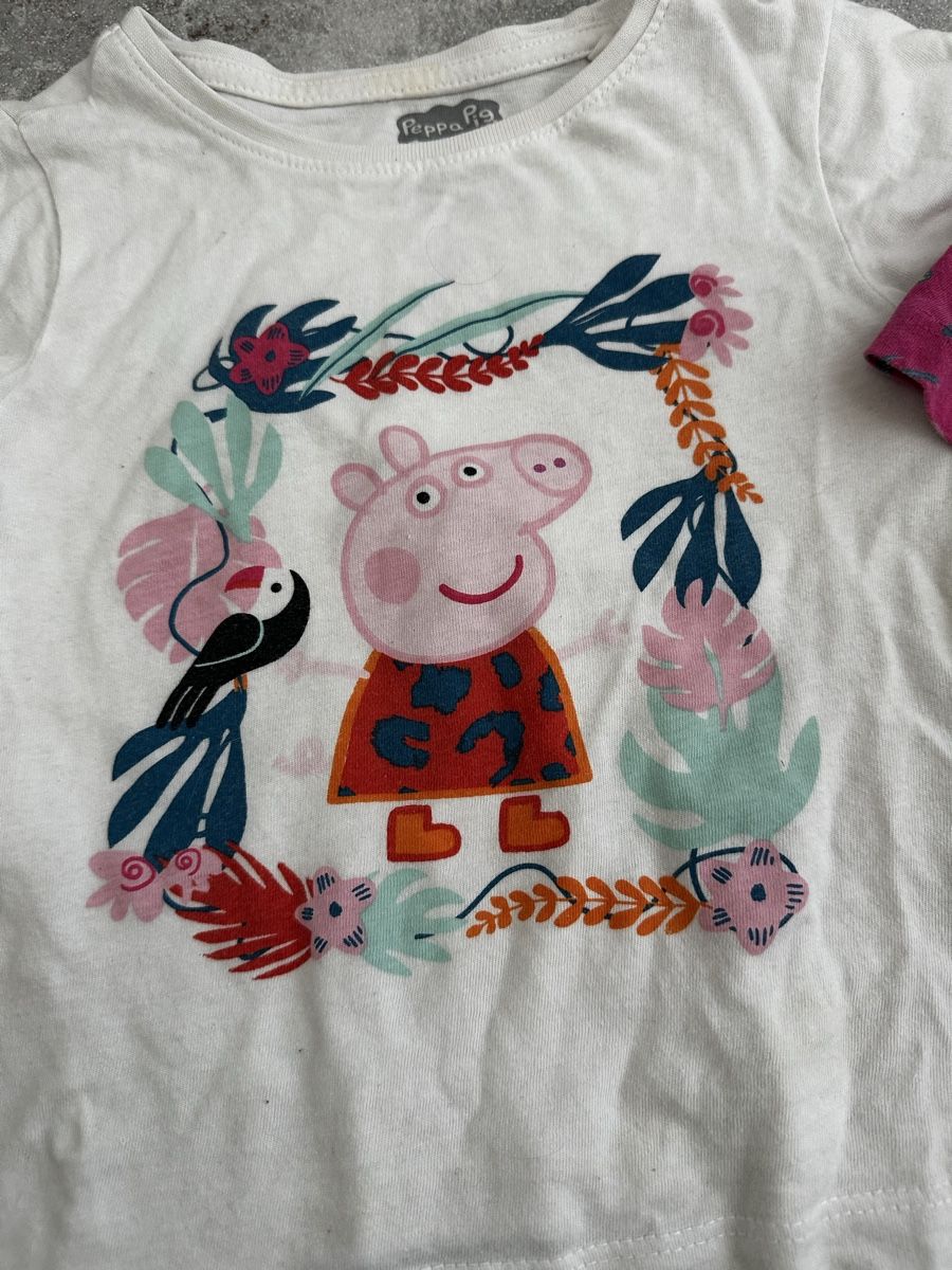 Lotti & Set di vestiti: 3 Shirts Peppa Pig 98/104 – Usato da Birr venduto da YMCA123 4