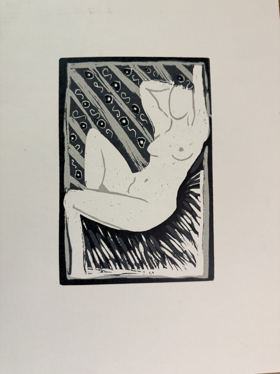 Grafica & Litografie: Lithographie 33x25.5cm – Usato da Solothurn venduto da NUVICO 4