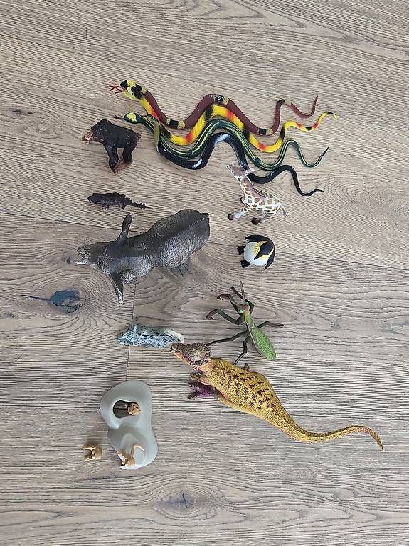 Giocattoli: Schleich Tiere – Usato da Richterswil venduto da DRW91 1