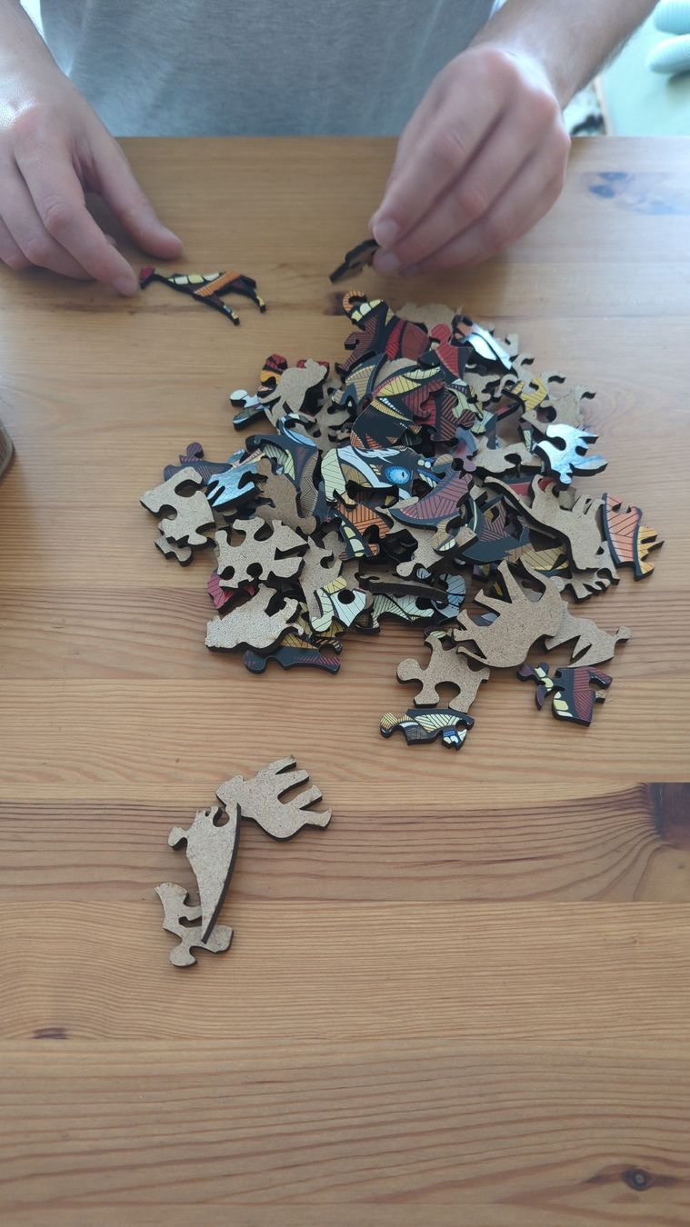 Puzzle: Holzpuzzle Löwenkopf 100 Teile bunt – Nuovo (secondo la descrizione) da Winterthur venduto da Glauriane 7