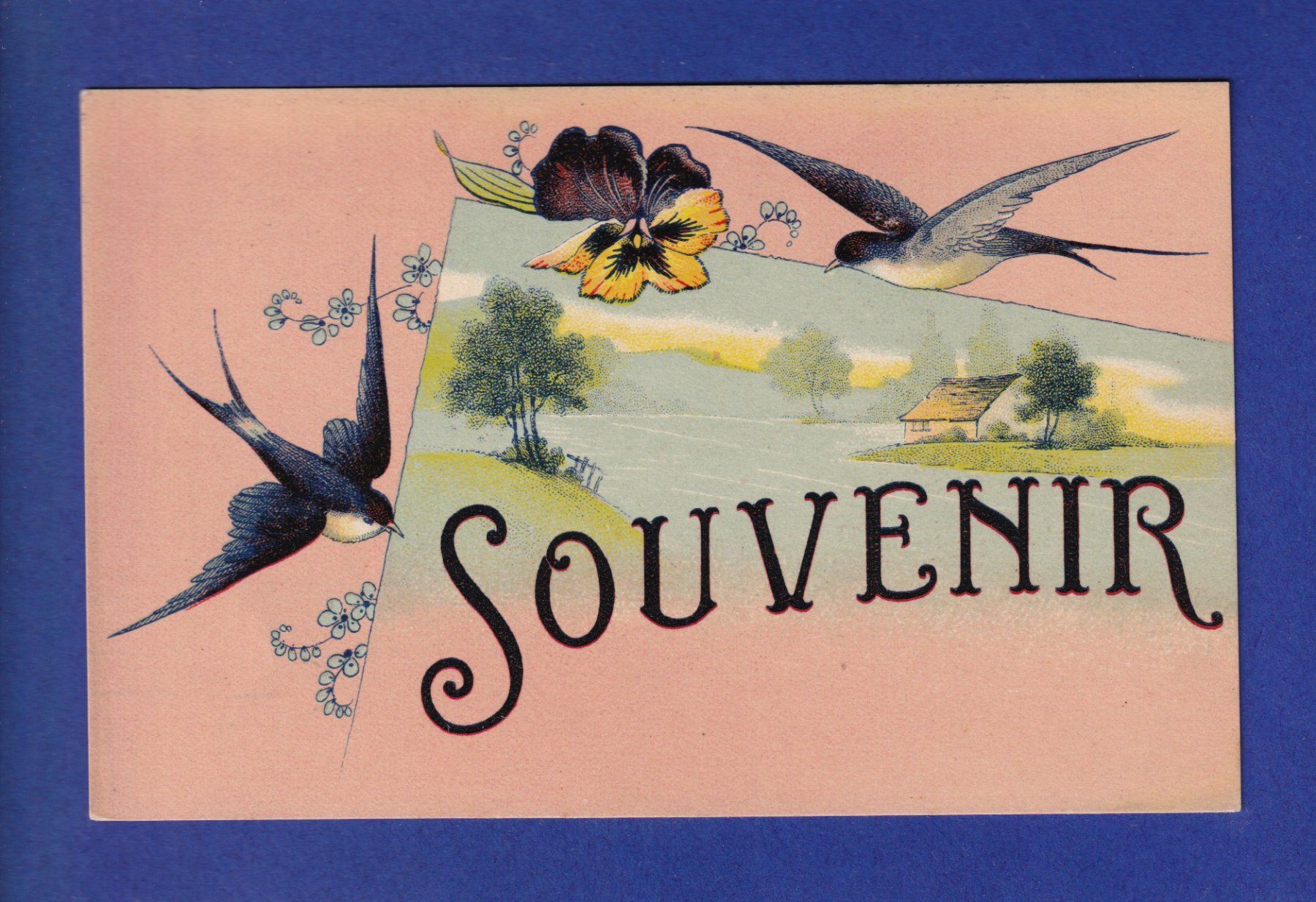 Ansichtskarten: OISEAU - Hirondelles - Souvenir – Gebraucht aus Pully von nicecards-shop