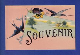 OISEAU - Hirondelles - Souvenir