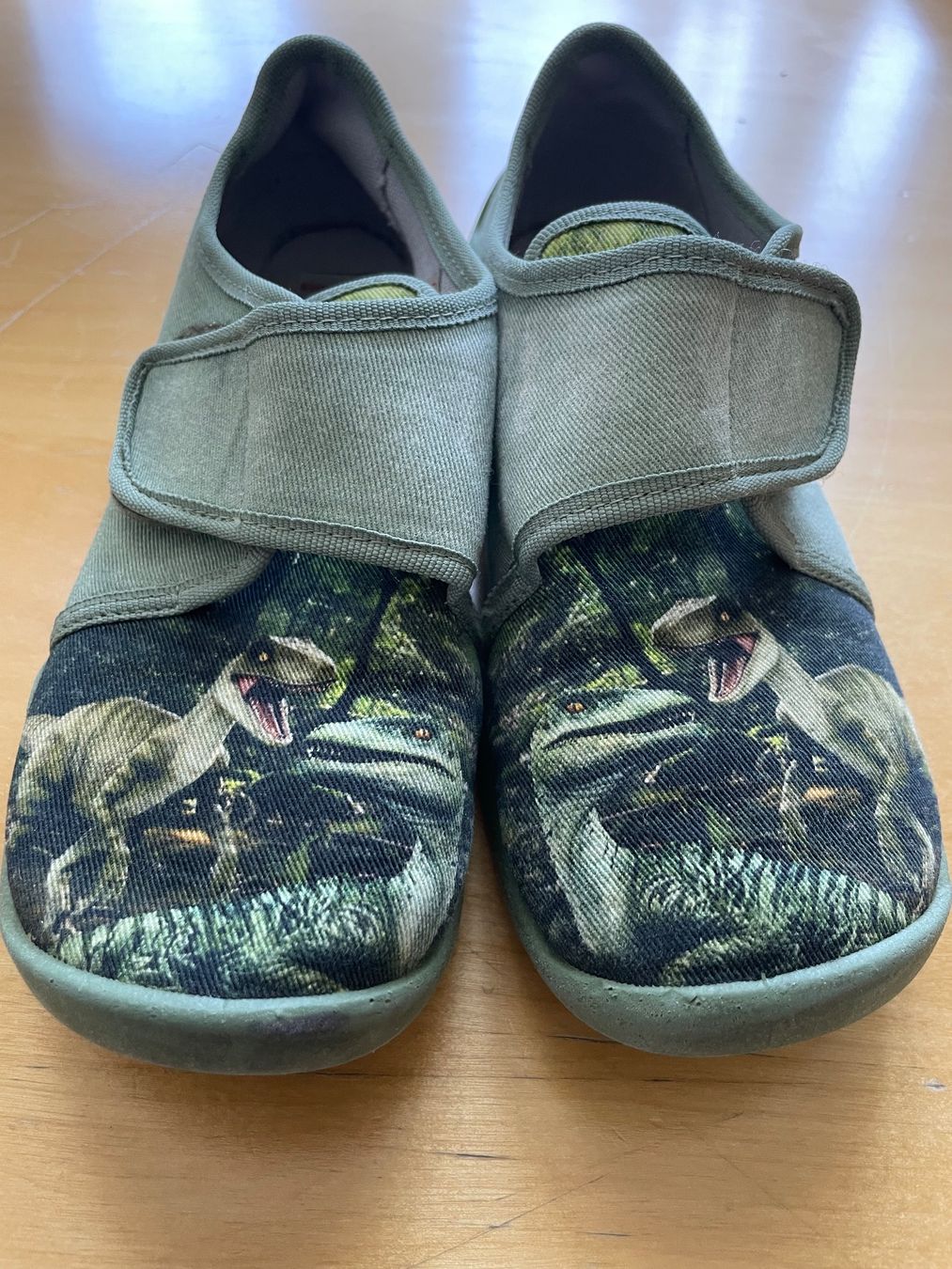 Scarpe per ragazzi: Dino Hausschuhe gr 32 – Usato da Ebikon venduto da Agnes62