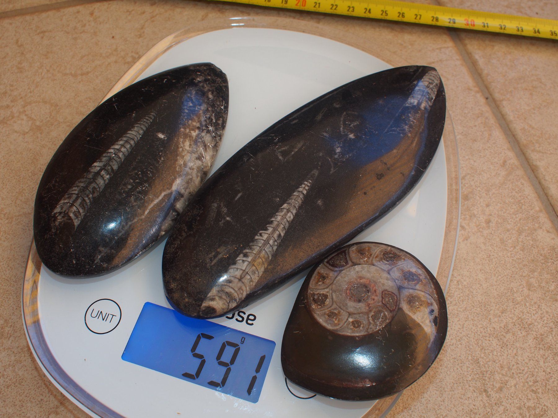 Fossili: 10. lot de 3 grands fossiles polis – Usato da Ovronnaz venduto da Etagne68 2