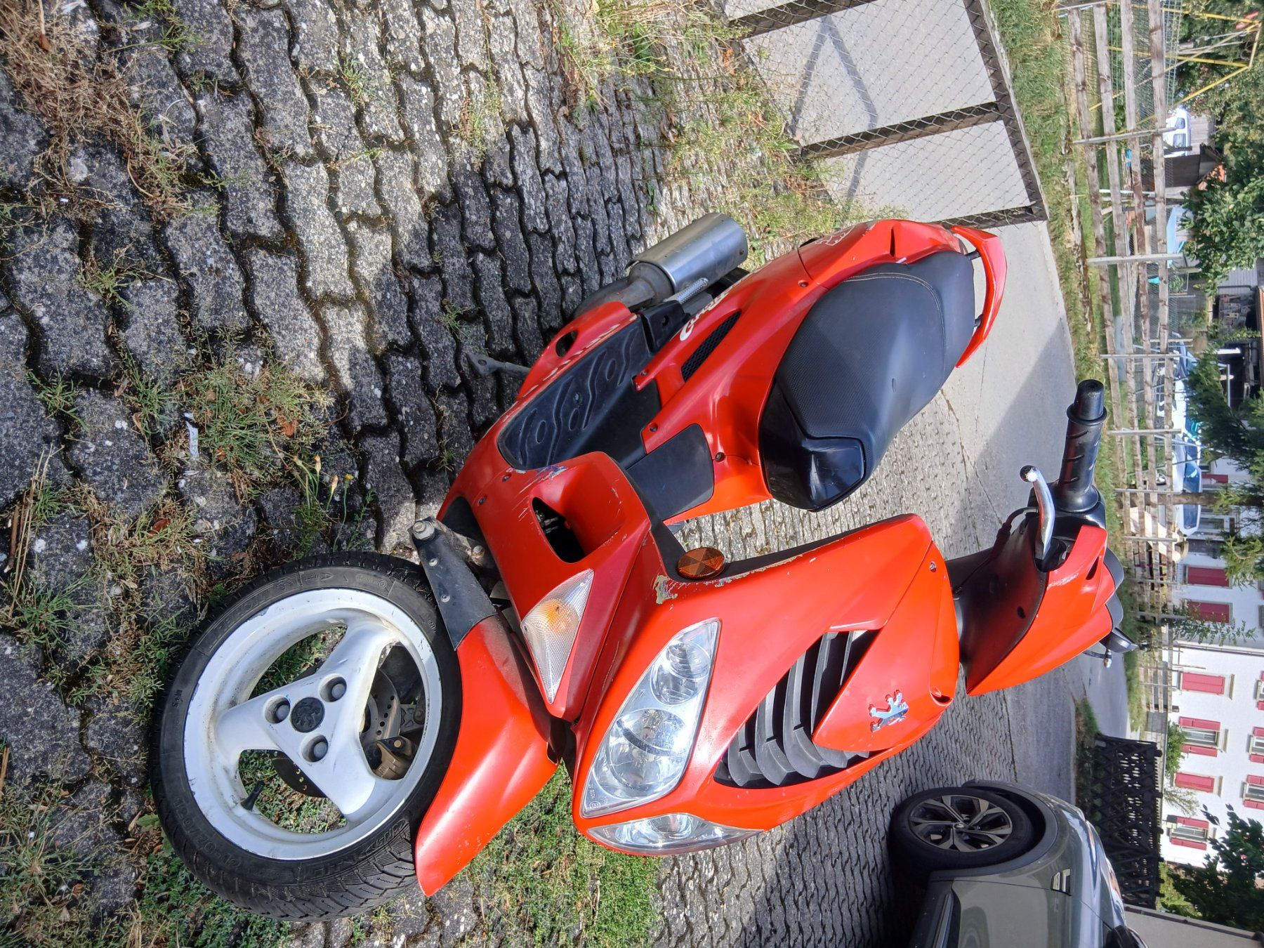 Peugeot Scooters: Peugeot Speedfight 50 – Gebraucht aus Cottens FR von ste_7zft 2