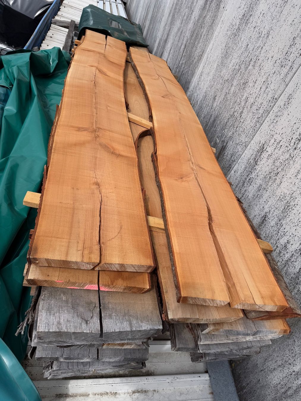 Articoli in legno: Waldkirschbaum Klotzbretter trocken – Usato da Holziken venduto da Timbergrizzly