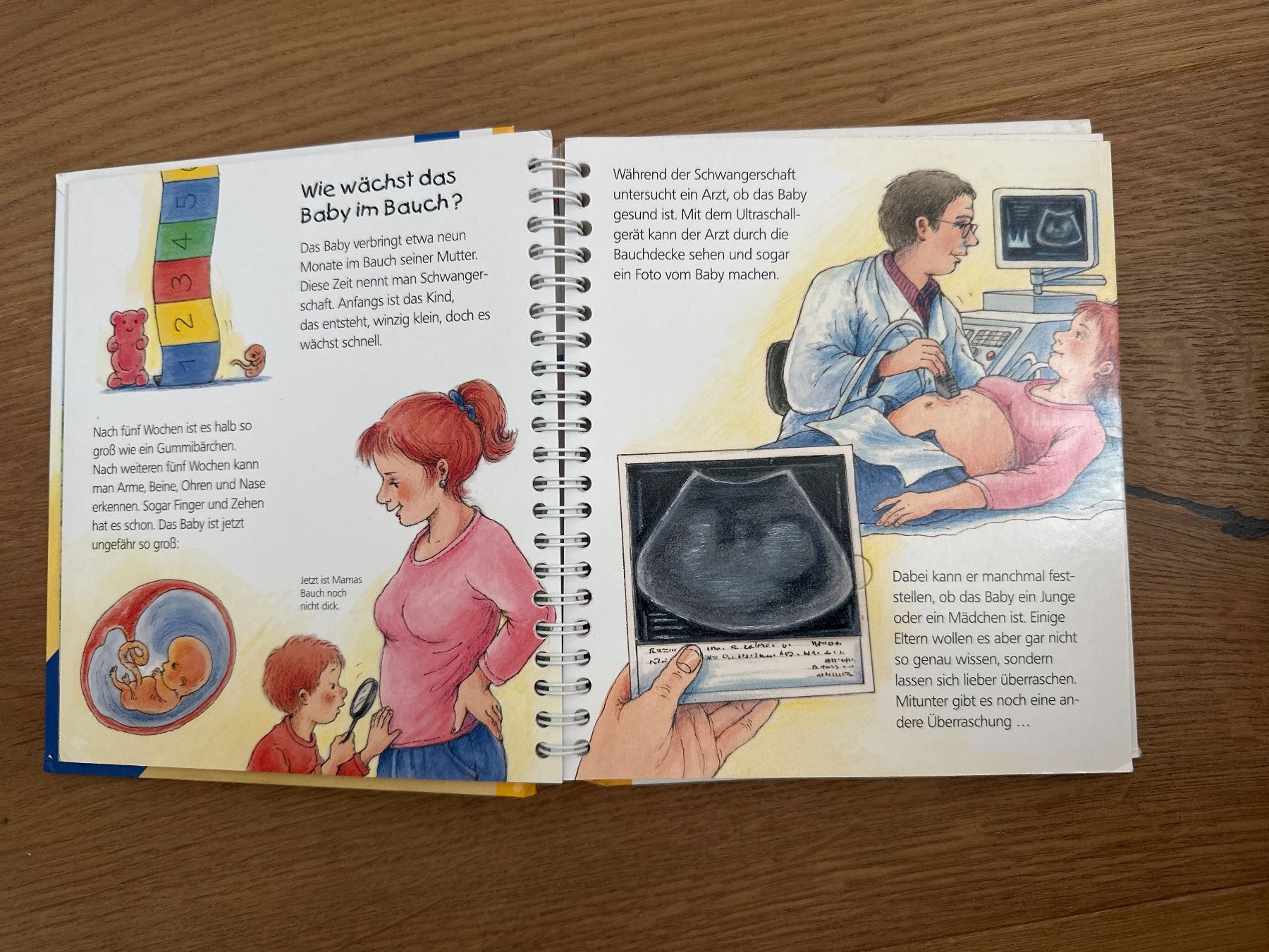 Libri: Ravensburger Was ist was unser Baby – Usato da Buchs SG venduto da pessego2008 2