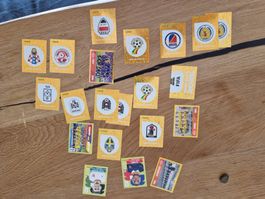 Panini 2026, Sticker