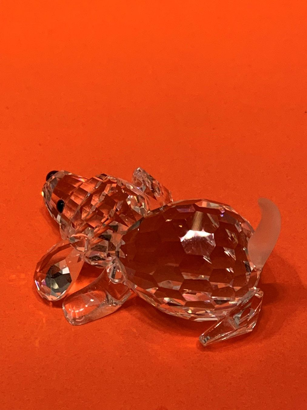Swarovski Statuette: Swarovski Hund – Nuovo (secondo la descrizione) da Oberglatt ZH venduto da Multimix 3