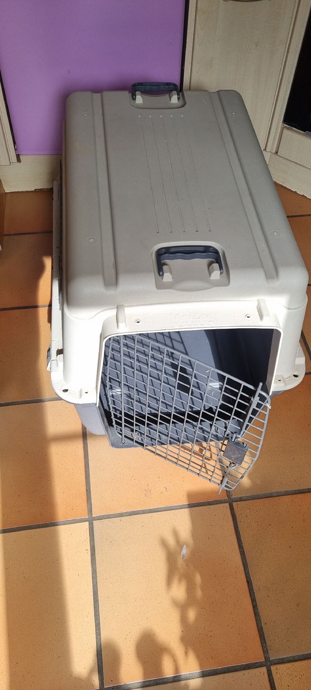 Gabbie, trasporto & Sicurezza: Hundebox L 80x55x58cm – Usato da Schaffhausen venduto da Guapa71 1