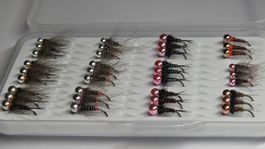 Top Muster Box - 36 Tungsten Nymphs