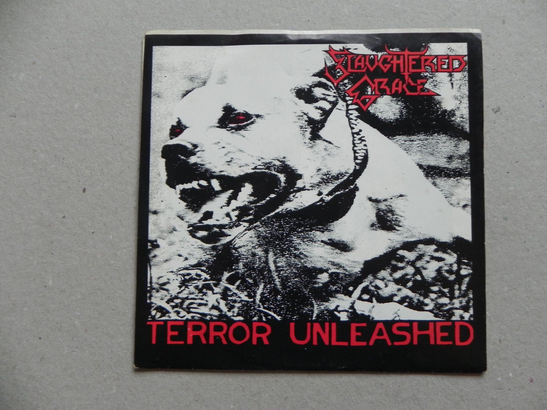 Dischi in vinile: Single US Thrash / Hardcore Band Slavghted Grace 1989 Terror – Usato da Siebnen venduto da krimsie