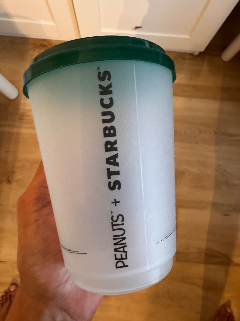 Contenitori & Simili: Starbucks Becher Peanuts Snoopy Edition – Usato da Winterthur venduto da KittyCutieThings 1