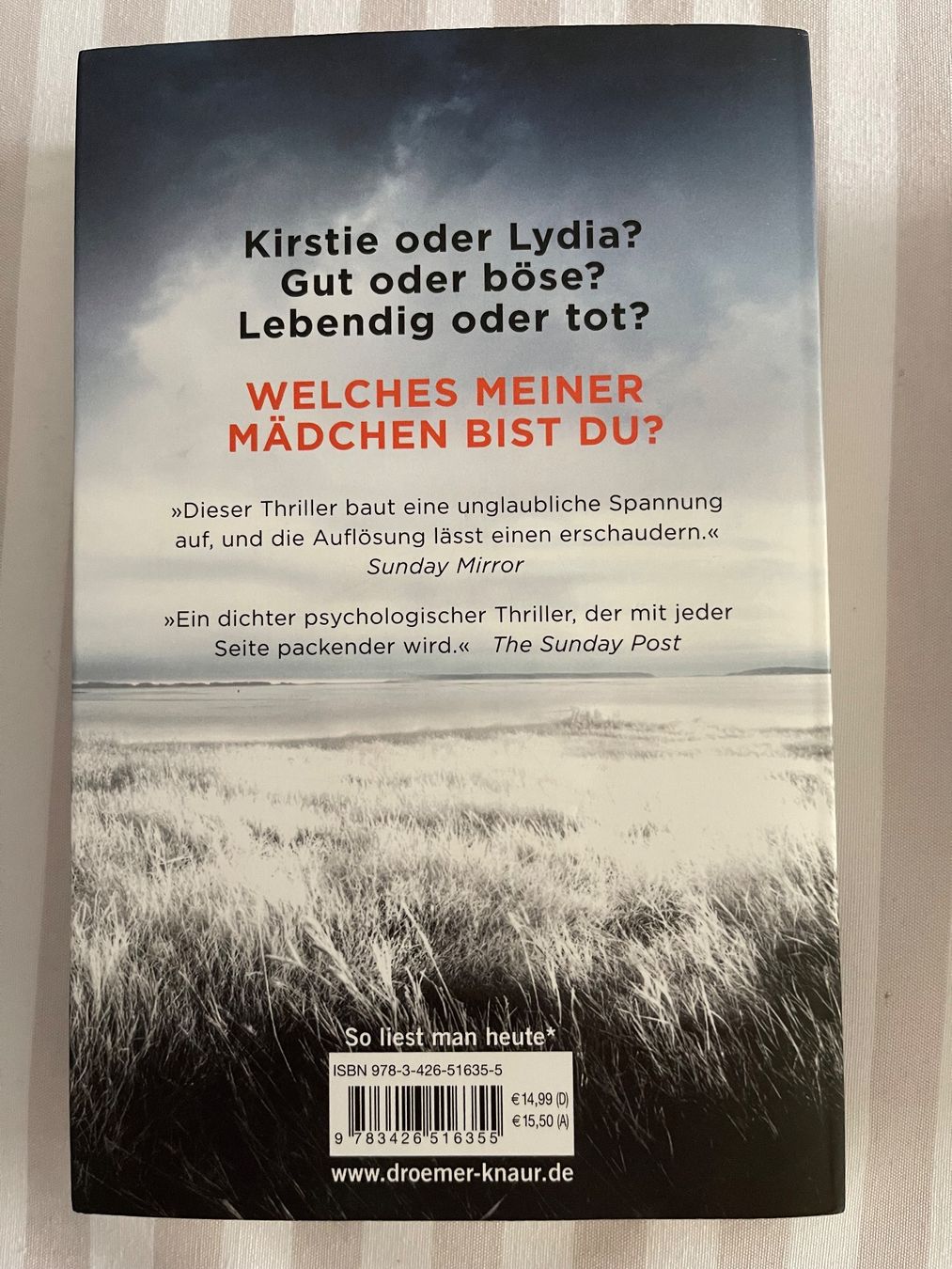 Libri: 4 Thriller Romane, Dazieri, Slaughter, Jackson, Tremayne – Usato da Stansstad venduto da Schlumpf69 3