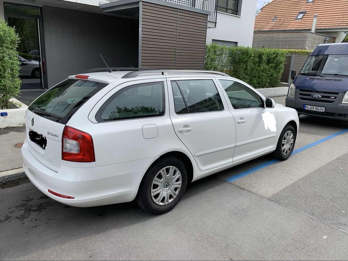 Skoda Autos: Skoda Octavia  – Gebraucht aus Bern von AliceHo 3