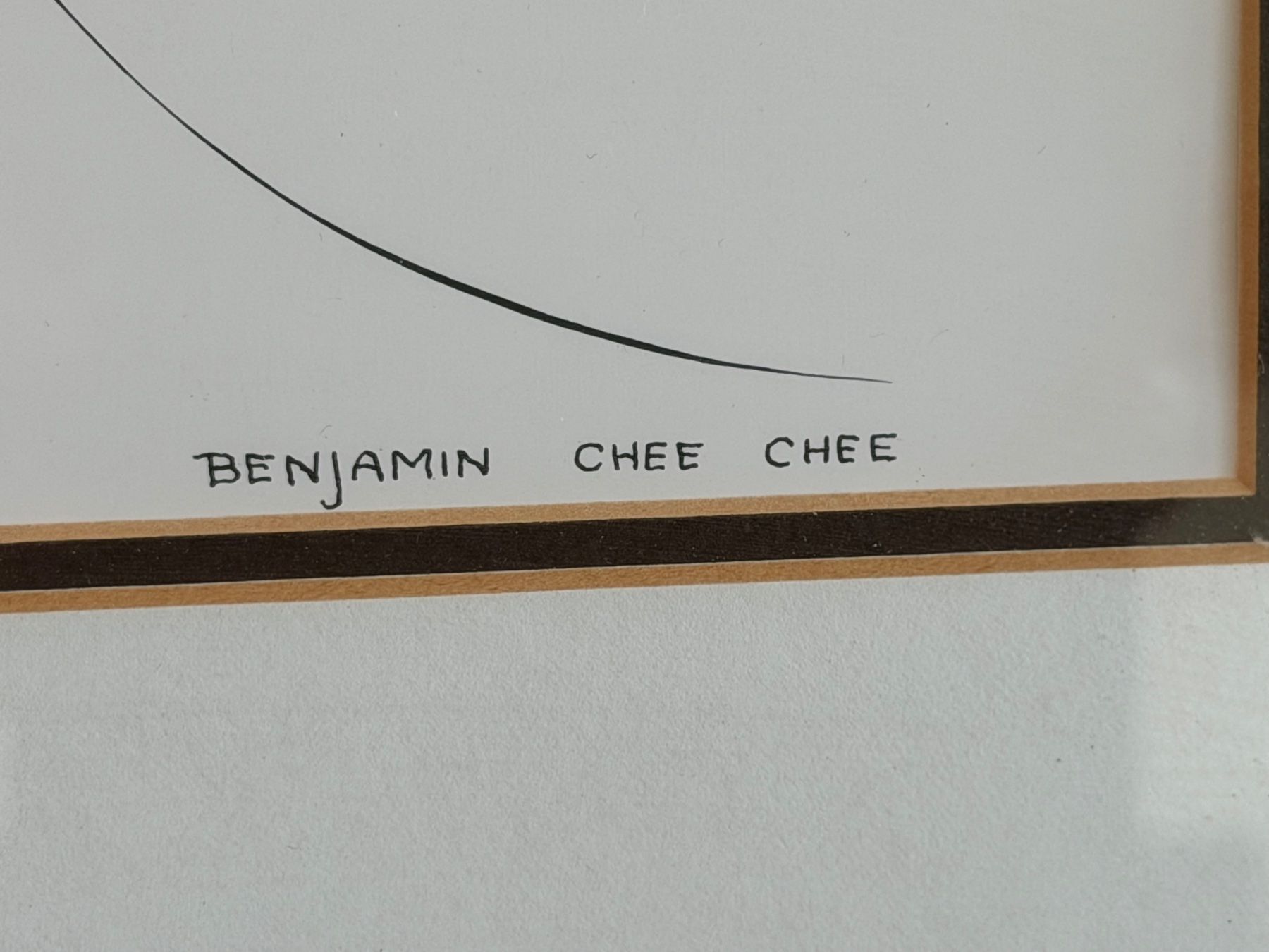 Dipinti: Gerahmtes Kunstwerk Benjamin Chee Chee Goose 'Guten Morgen' – Usato da Basel venduto da PAUL_ART 3