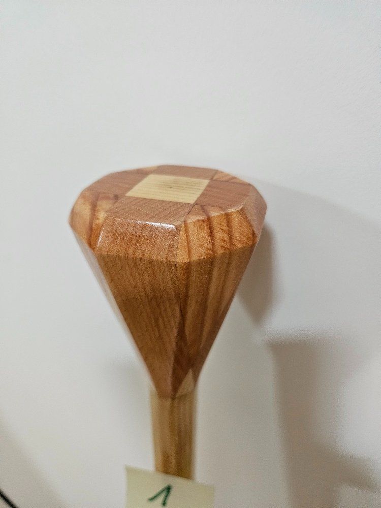 Articoli in legno: Wanderstock – Nuovo (secondo la descrizione) da Steinach venduto da HD1966 1