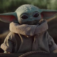 Profile image of kiwicat