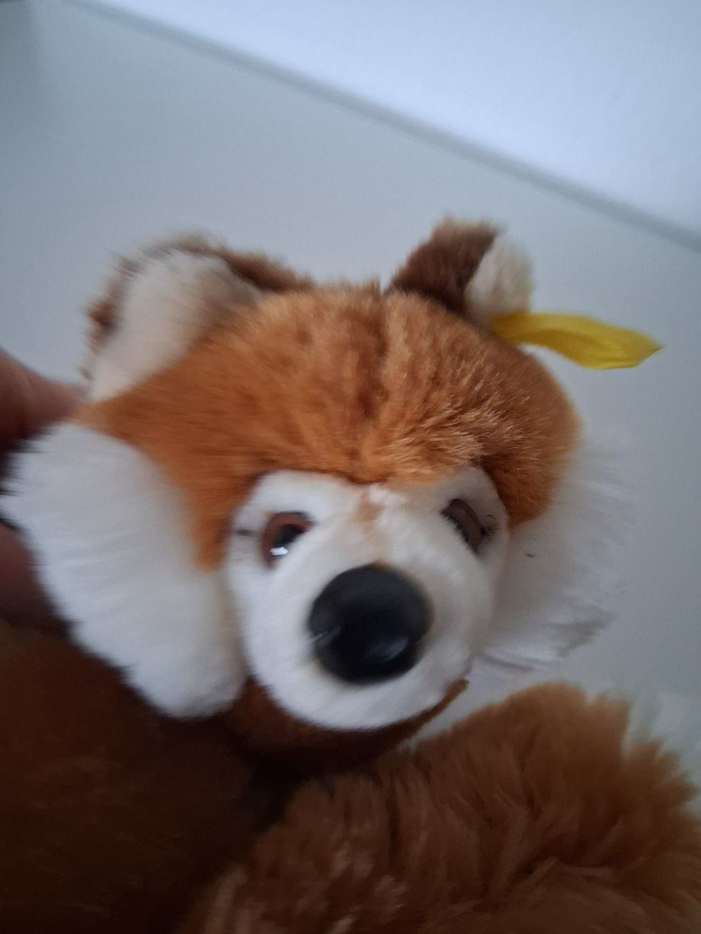 Steiff Giocattoli: Steiff Plüschtier Fuchs 21cm – Usato da Lengnau AG venduto da Nathi88 3