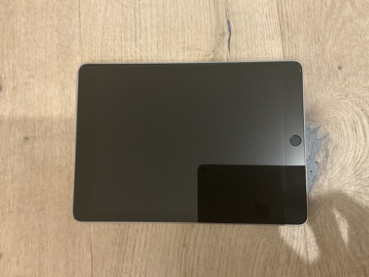 Apple Tablet PC: Apple iPad Pro 256GB / Hochwertige logitech Dockingstation – Usato da Wil SG venduto da Saintch 1