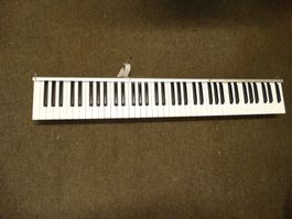 Orgel Wersi X1