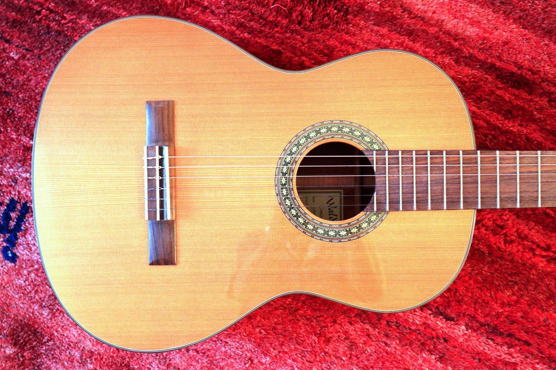 Strumenti ad arco e pizzico: Guitare classique Walden Concorda new – Nuovo e nell'imballaggio originale da Goumoens-la-Ville venduto da Vitamine 1