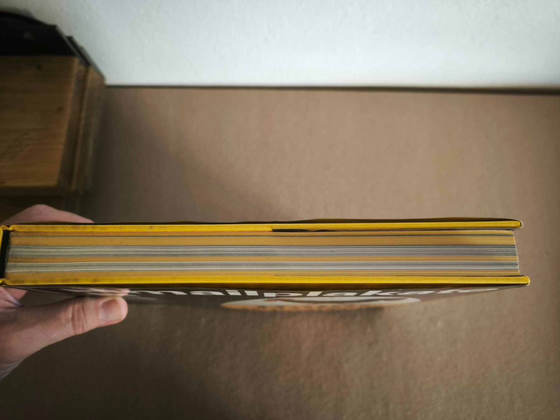 Libri: Sylke Wunderlich – Emailplakate – Usato da Kriessern venduto da VanWilder 4
