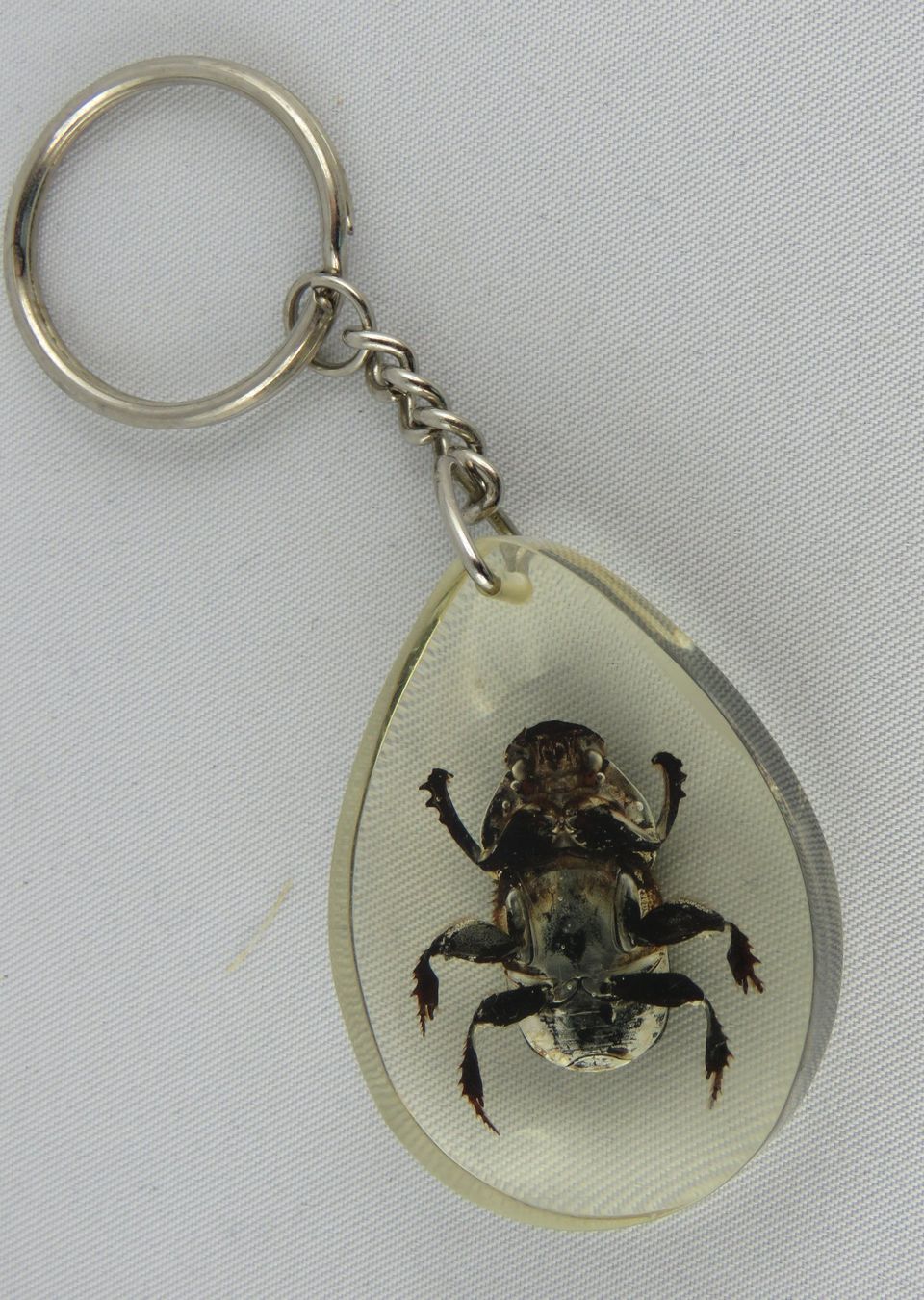 Schlüsselanhänger & - bänder: Schlüsselanhänger - KÄFER - 4,5x3cm – Neu (gemäss Beschreibung) aus Grenchen von Yamahwildstar16 3