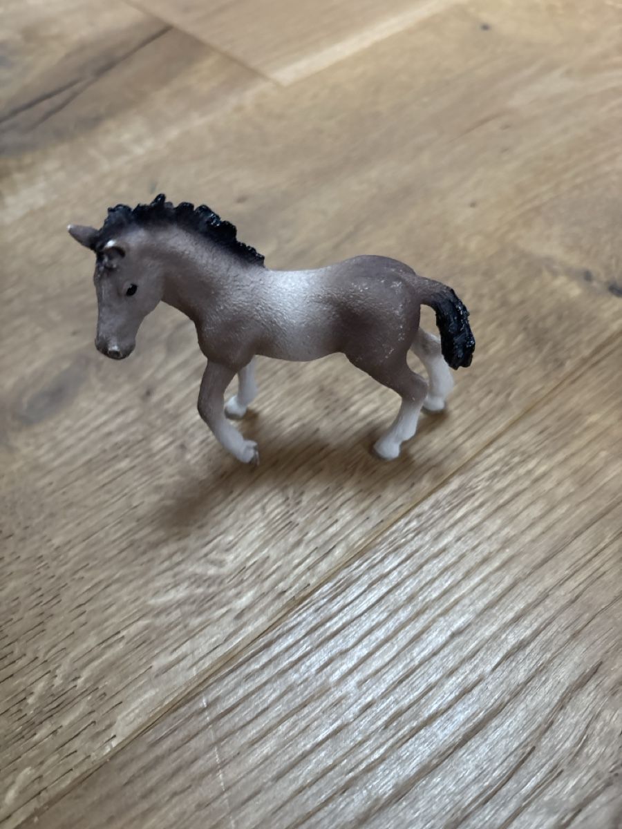 Schleich Giocattoli: Schleich Fohlen (14) – Usato da Meiringen venduto da enilorac2000 1