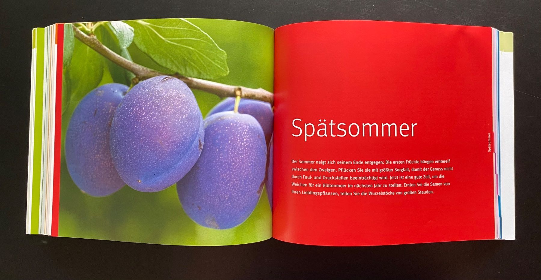 Libri: DAS GARTENJAHR – Usato da Nussbaumen AG venduto da schuba2000 6