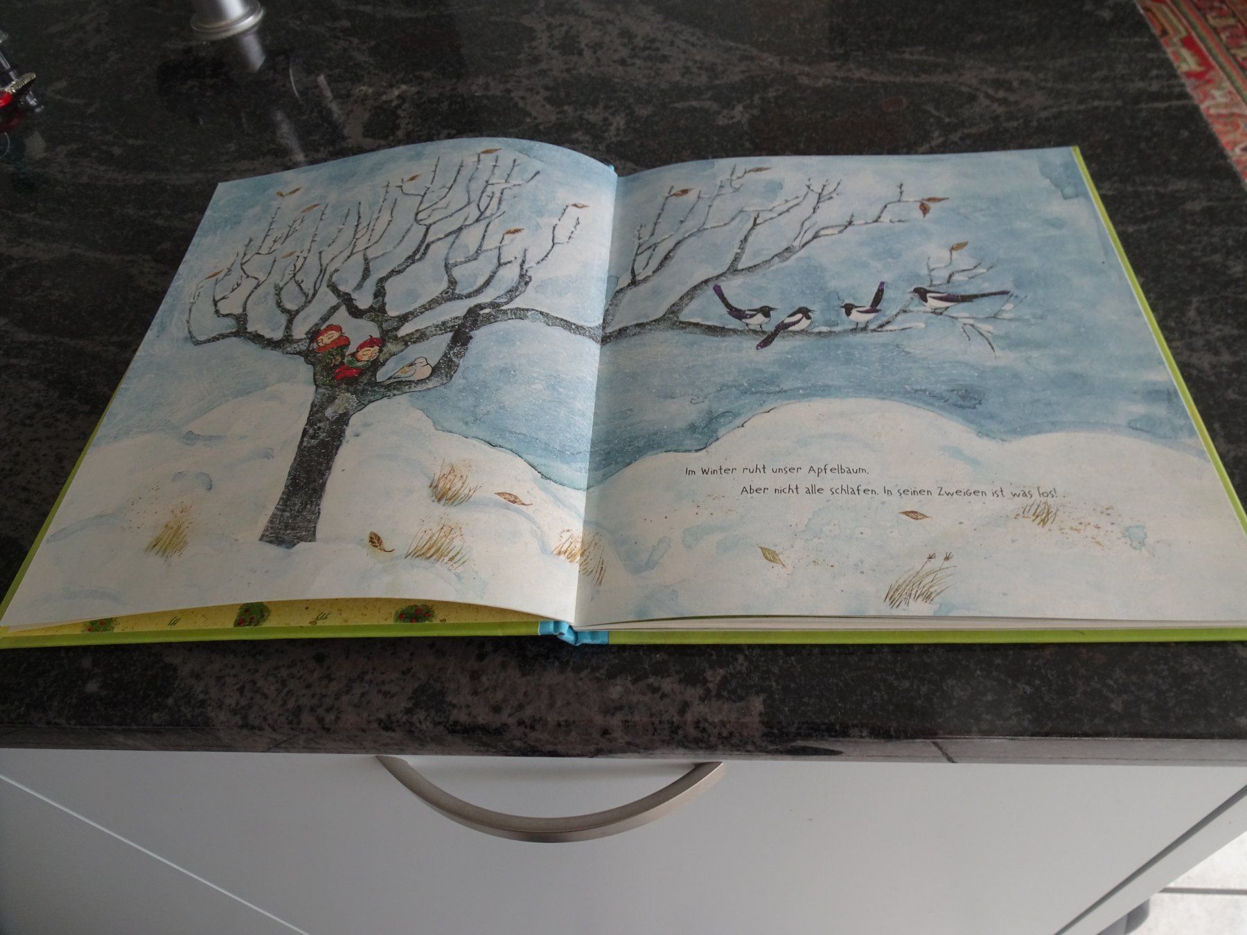Libri: Bilderbuch Unser Apfelbaum - Neuwertig wunderschöne Bilder – Usato da Zürich venduto da Roulet 1